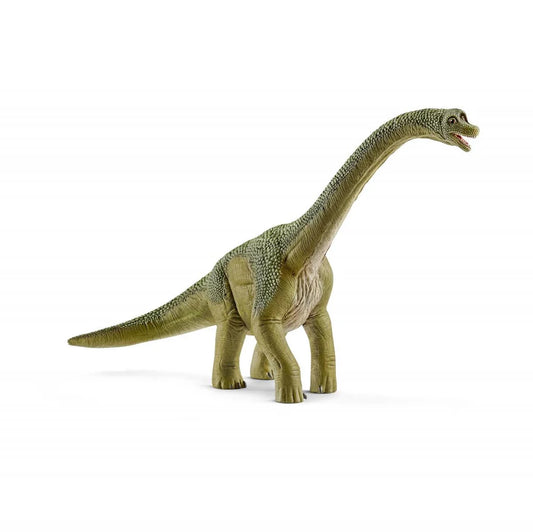 Brachisaurus