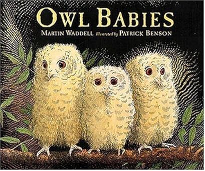 Owl Babies