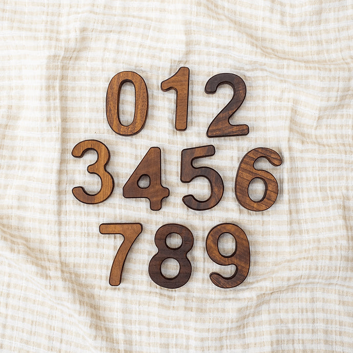 Wooden Numbers 0-9