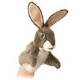 Hare Puppet