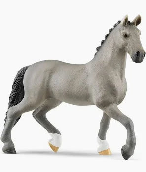 Cheval de Selle Francais Horse